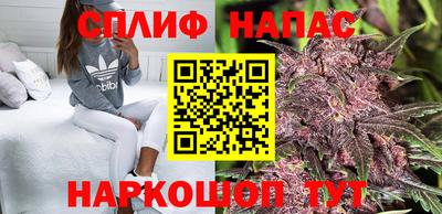 спиды Моздок