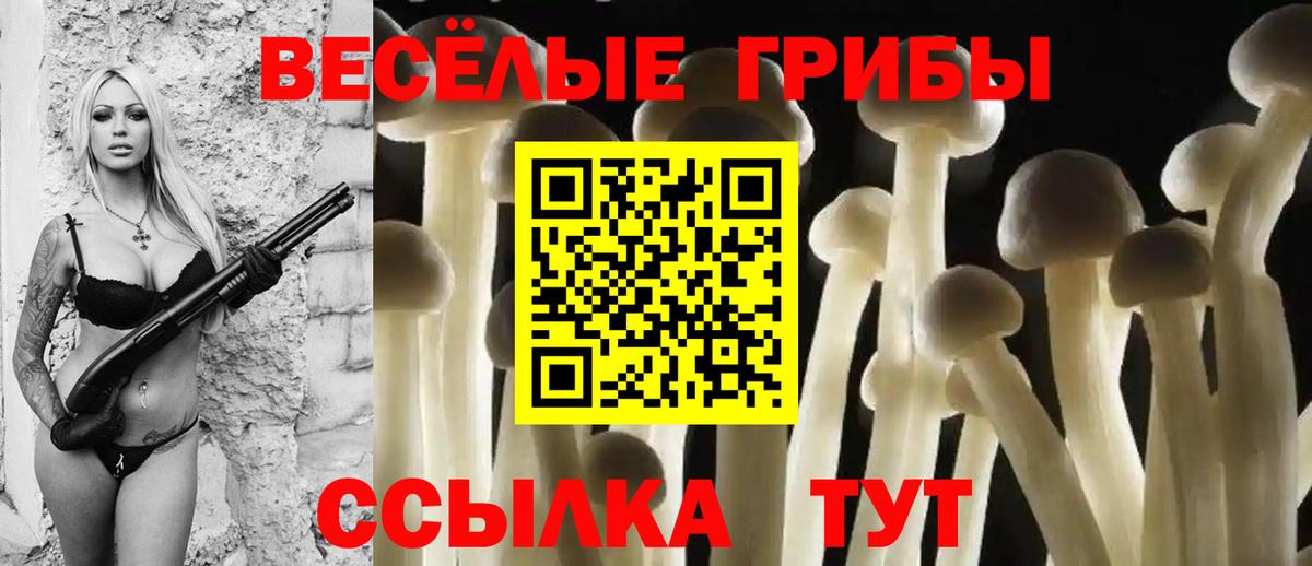 Псилоцибиновые грибы GOLDEN TEACHER Улан-Удэ